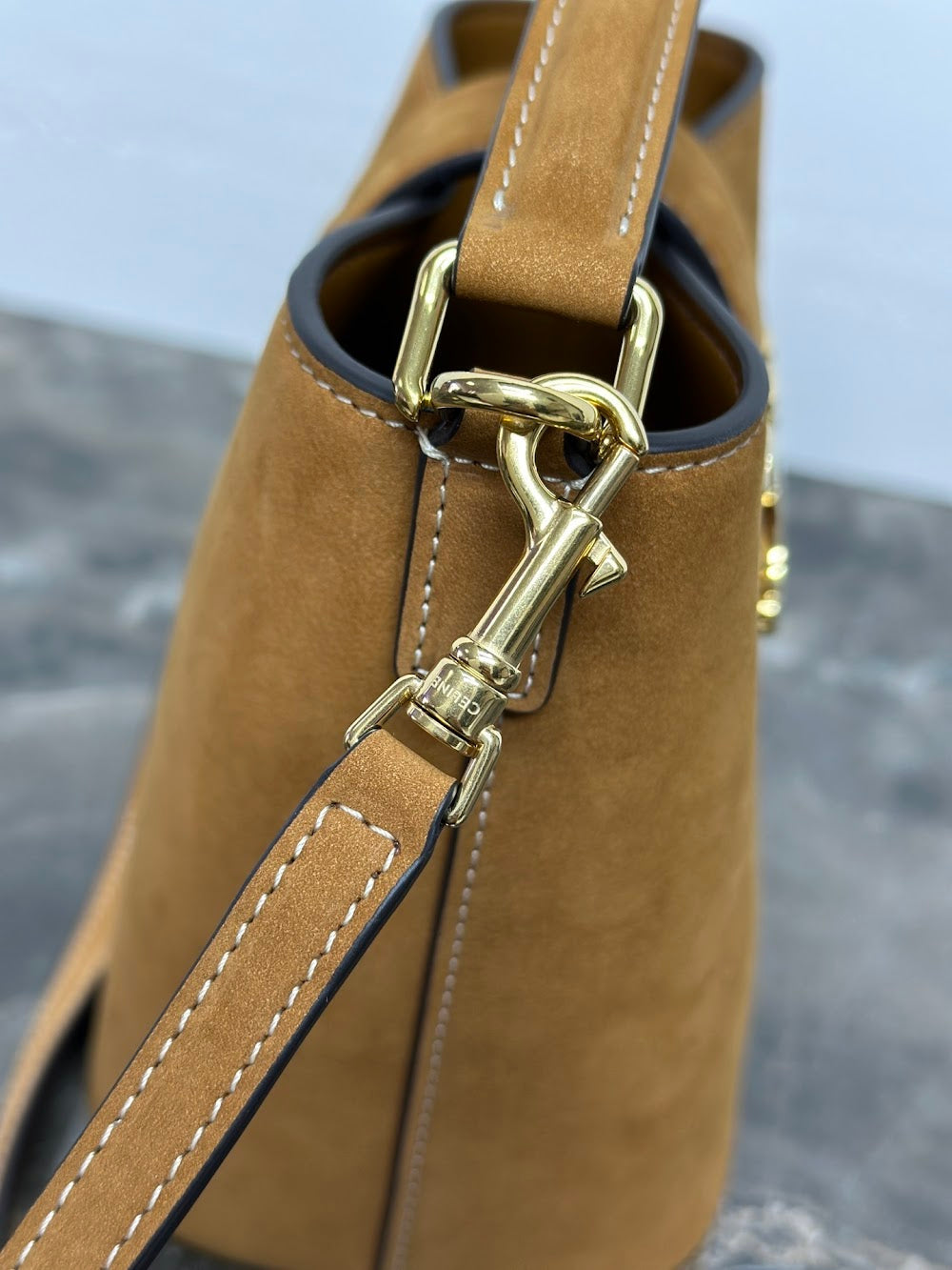 Dragons Bags Celine Luxury Bag --112341