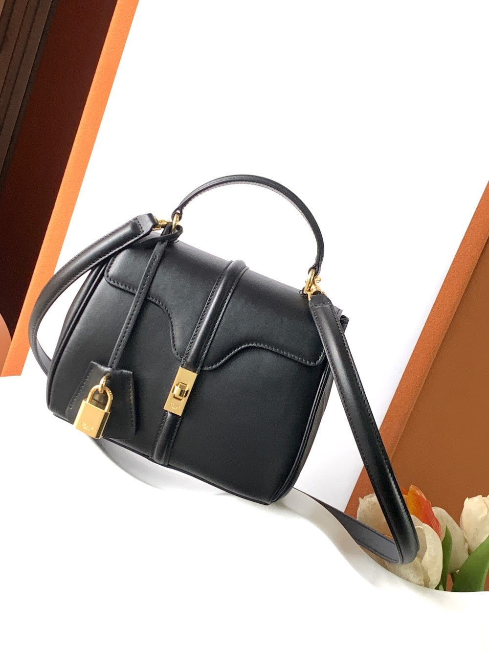 Dragons Bags Celine Luxury Bag --112175