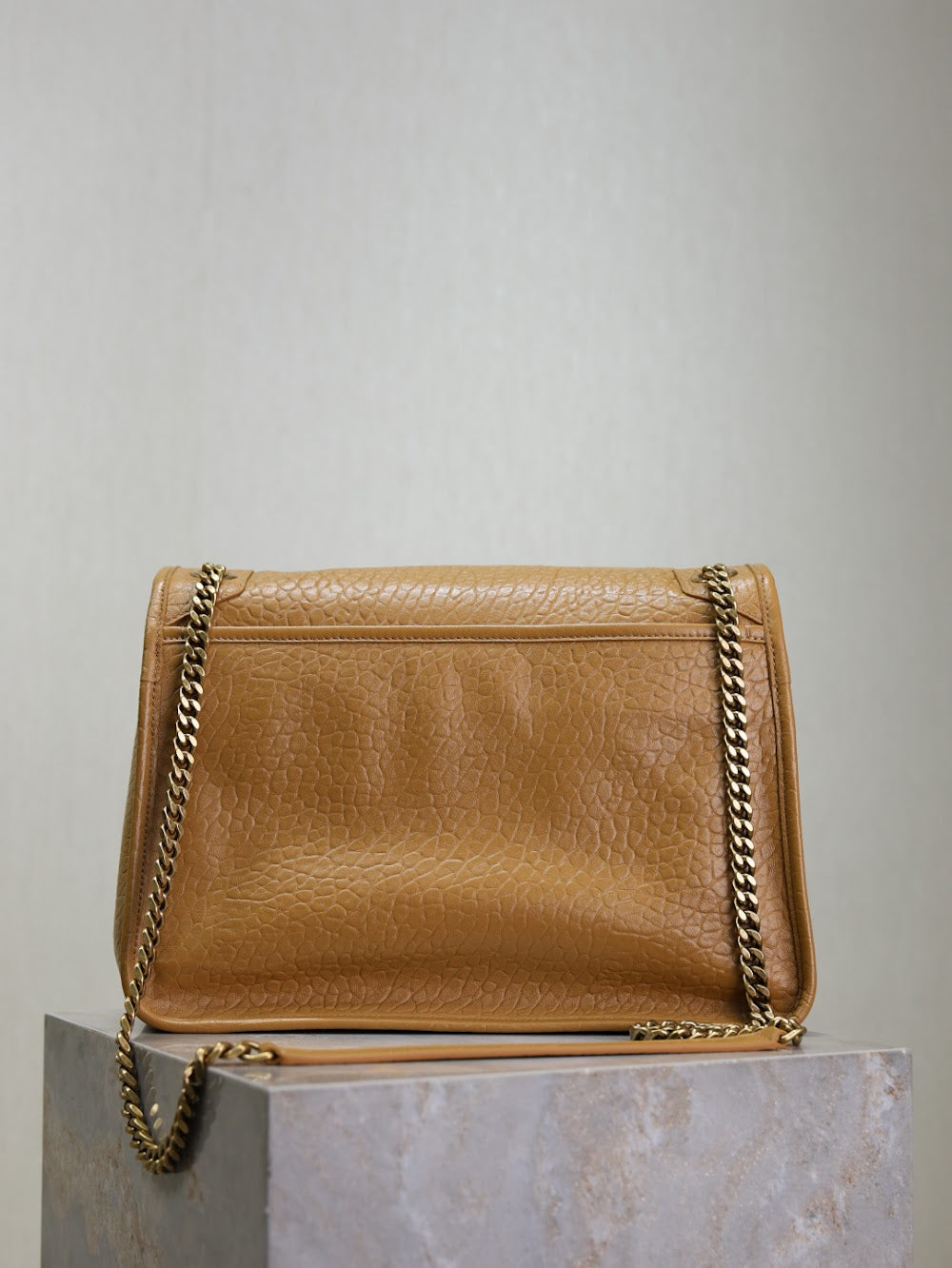 Dragons Bags YSLn Luxury Bag --119690