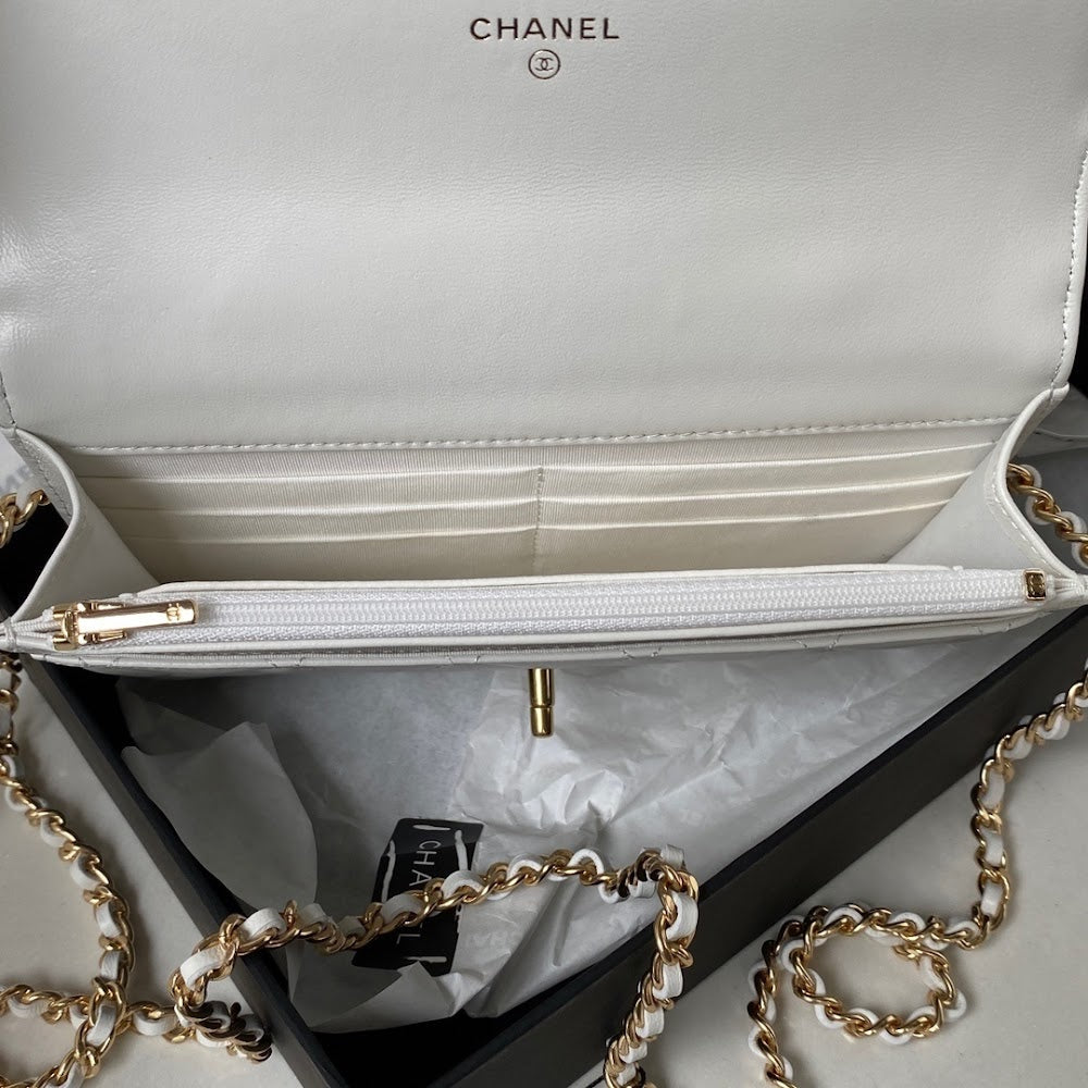 new-luxury-designer-bags-nm10106