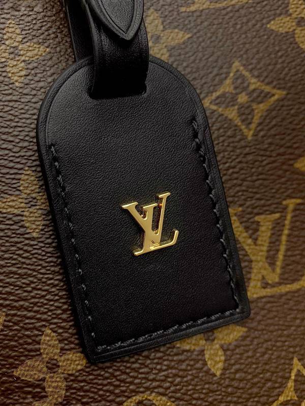 Dragons Bags ln Luxury Bag --57011