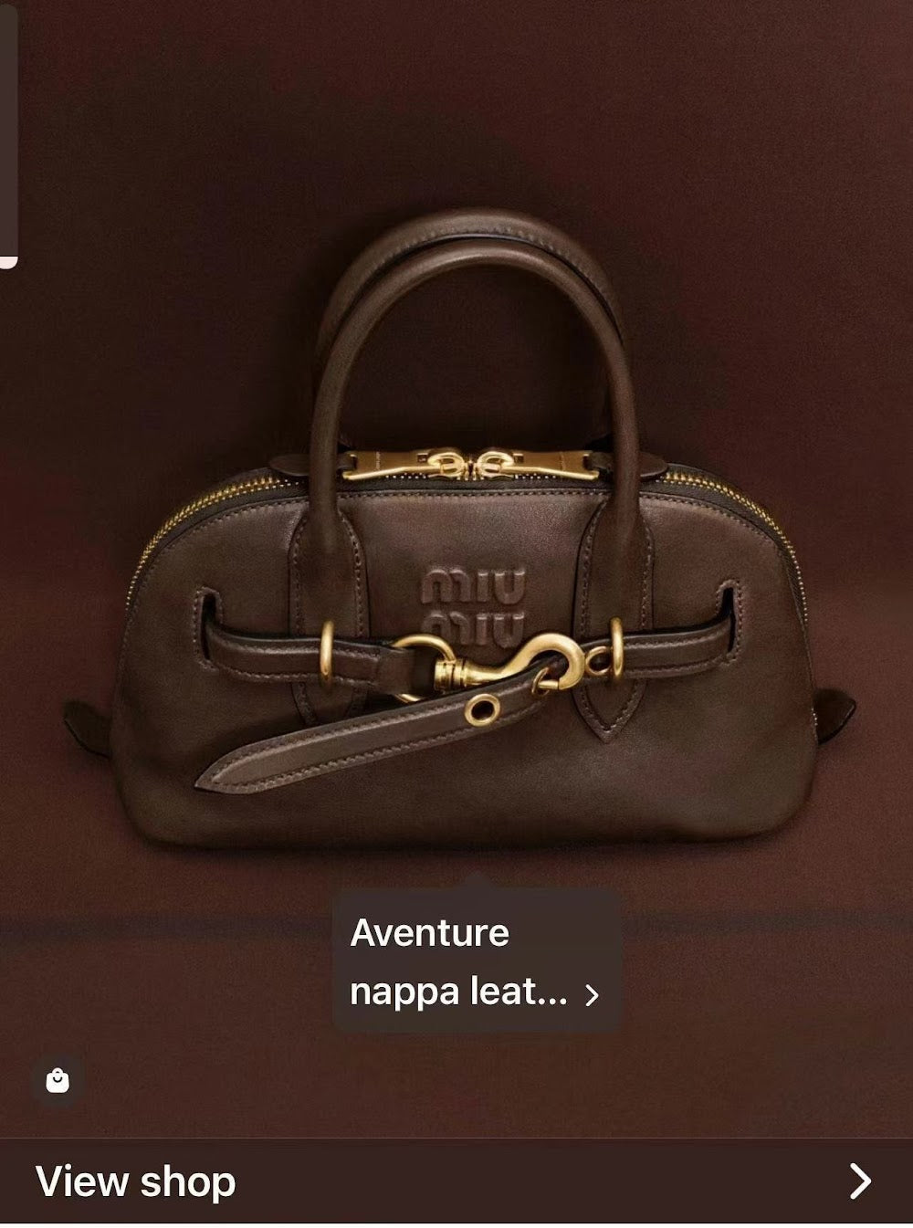 Dragons Bags Miun Miun Luxury Bag --122821