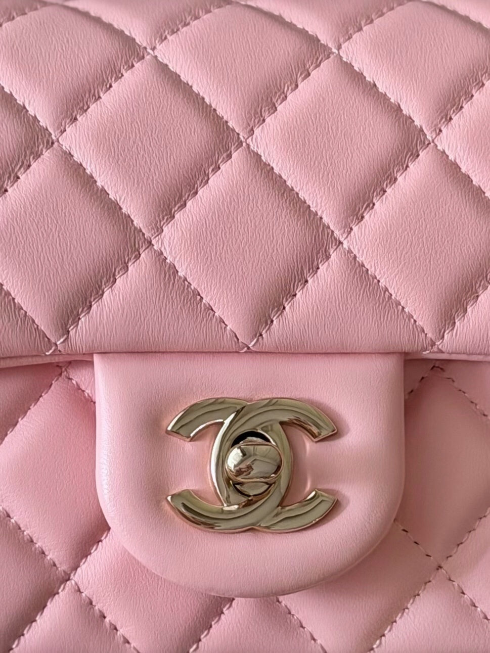 Dragons BagsCHn Luxury Bag --114066