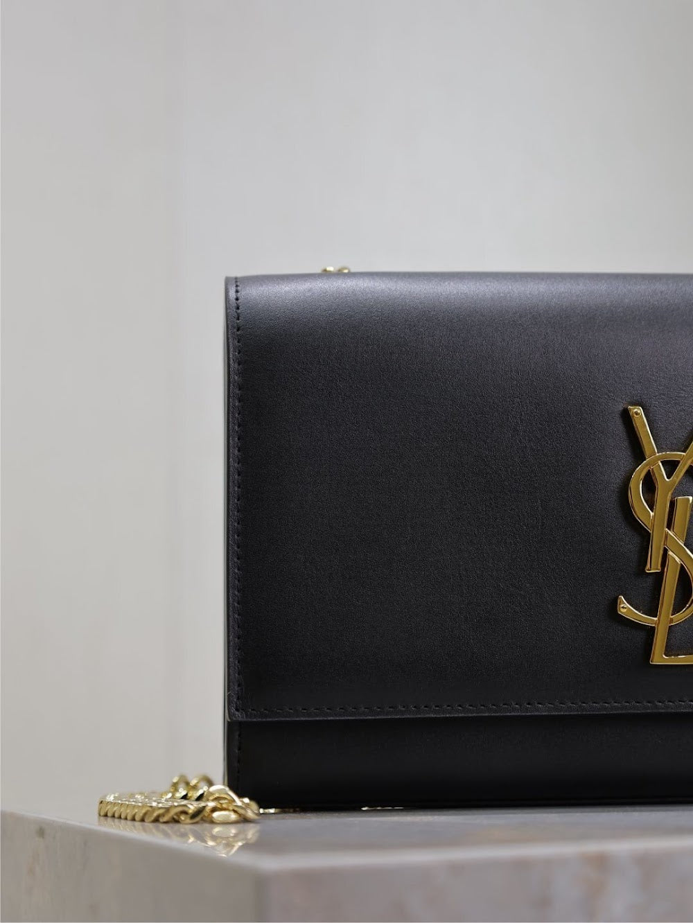 Dragons Bags YSLn Luxury Bag --120531
