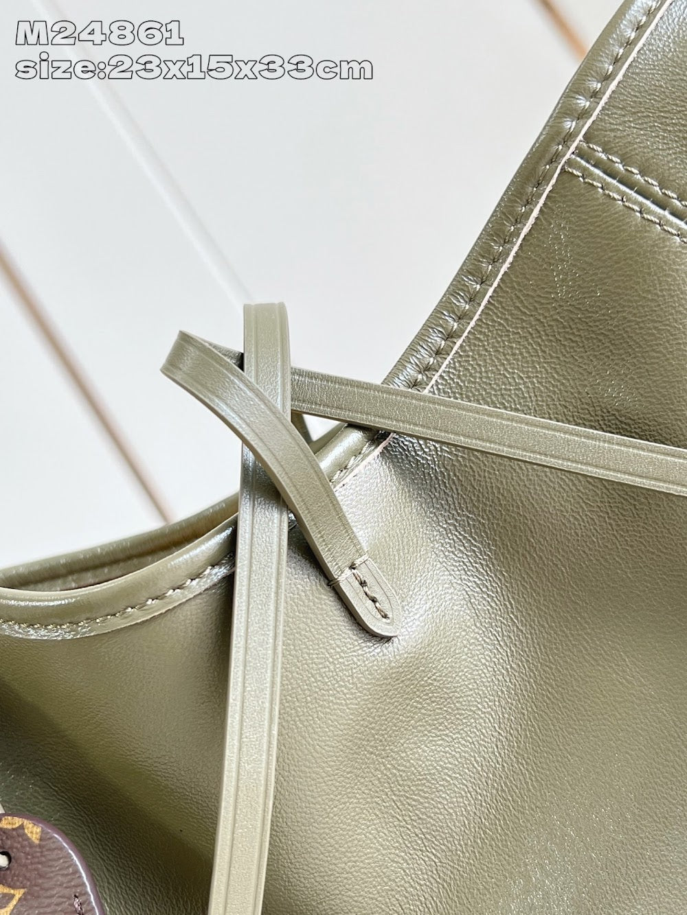Dragons Bags ln Luxury Bag --97352
