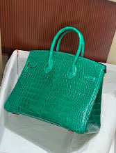 new-designer-premium-bags-nm9166