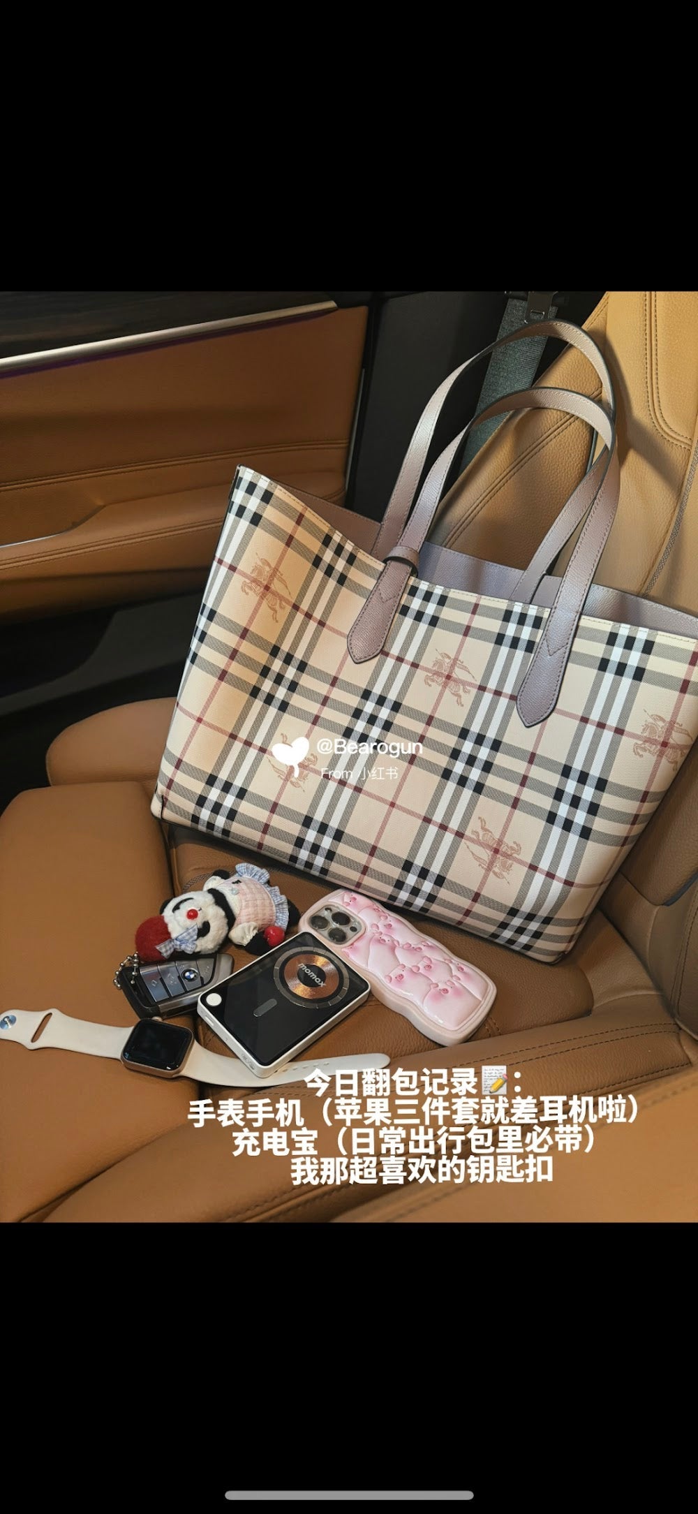 Dragons Bags Burberryn Luxury Bag --91684
