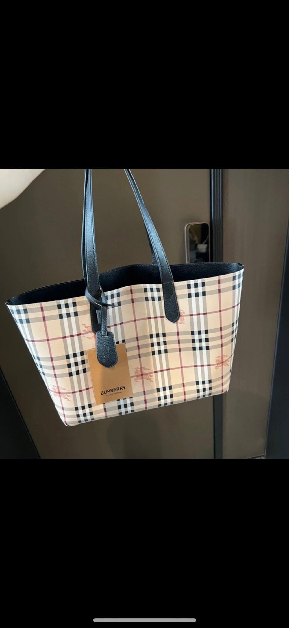 Dragons Bags Burberryn Luxury Bag --91688