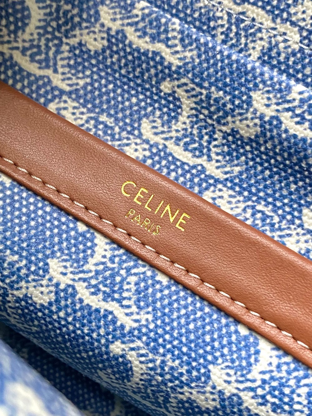 Dragons Bags Celine Luxury Bag --112135