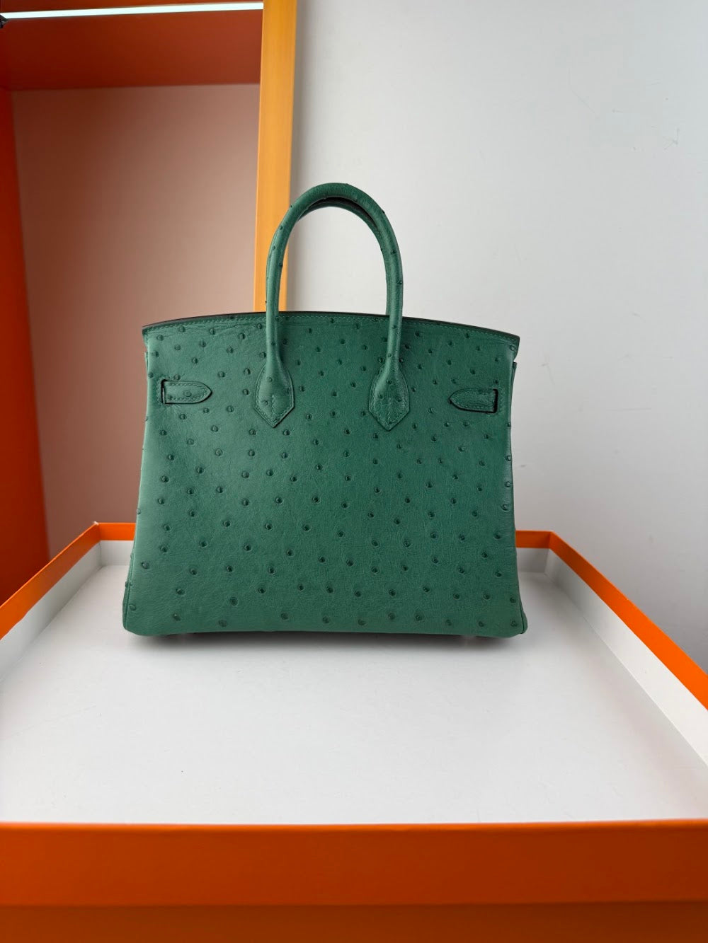 Dragons BagsHermesn Luxury Bag --116764