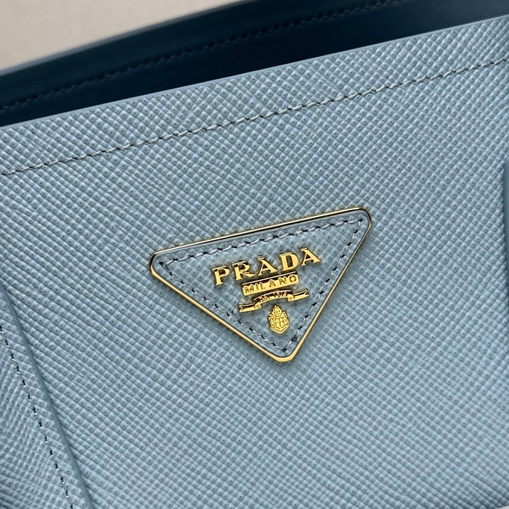 Dragons Bags Pradn Luxury Bag --102224