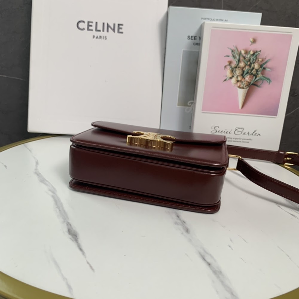 Dragons Bags Celine Luxury Bag --111994