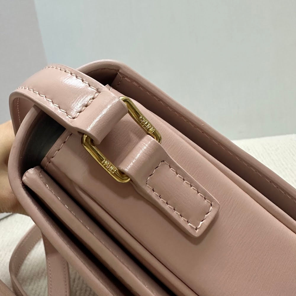 Dragons Bags Celine Luxury Bag --111986