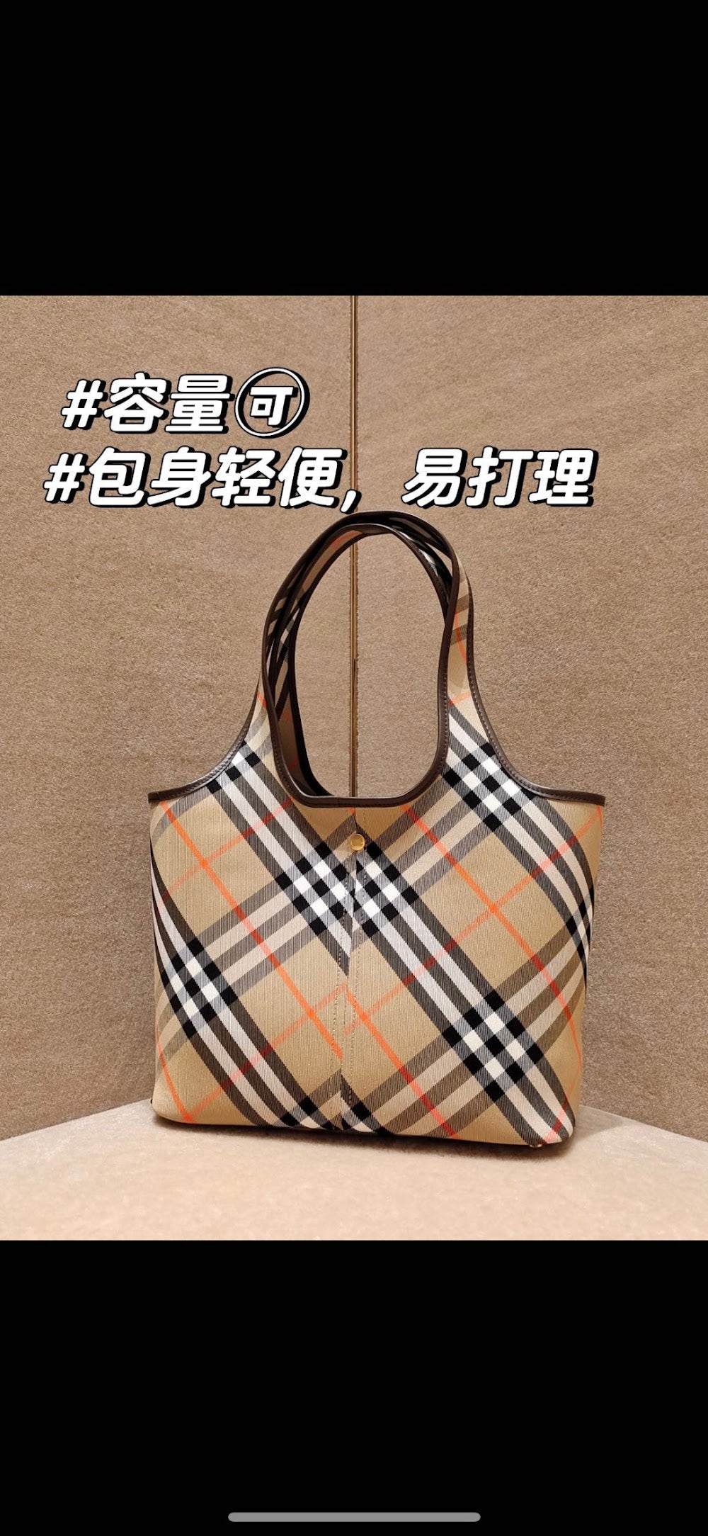 Dragons Bags Burberryn Luxury Bag --91844