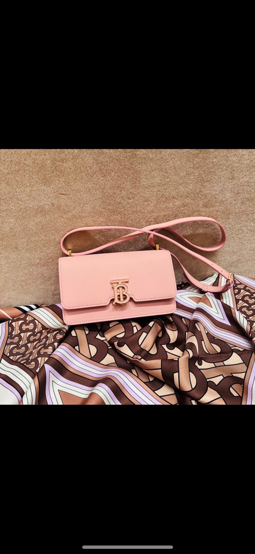 Dragons Bags Burberryn Luxury Bag --91608