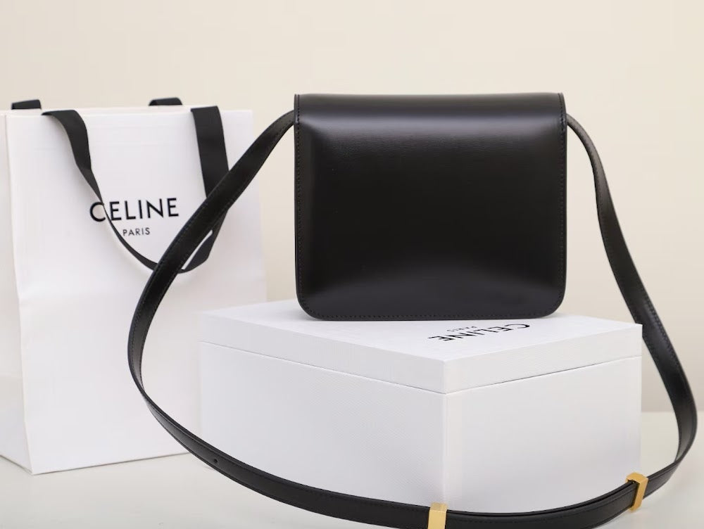 Dragons Bags Celine Luxury Bag --112036