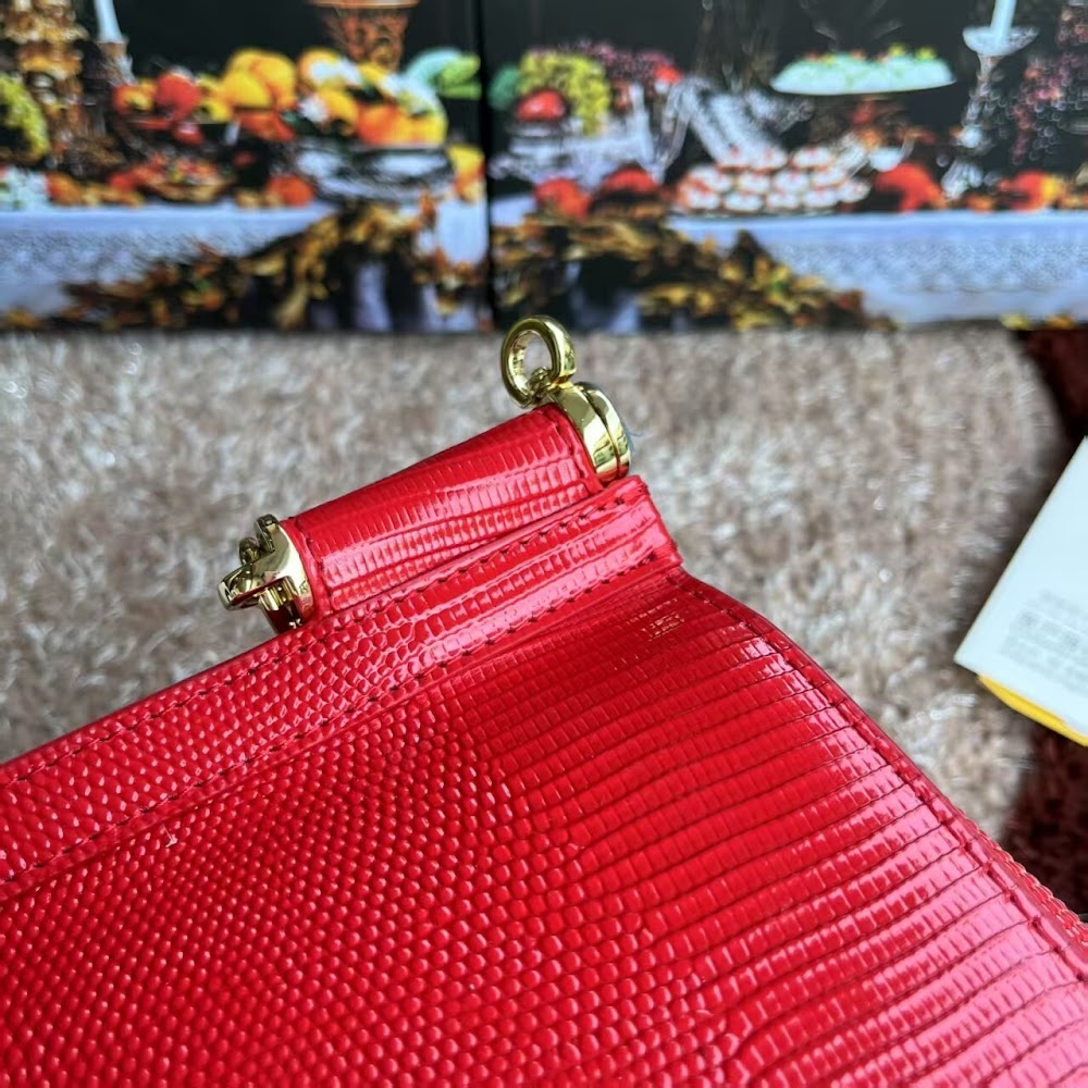 Dragons Bags DGn Luxury Bag --94042