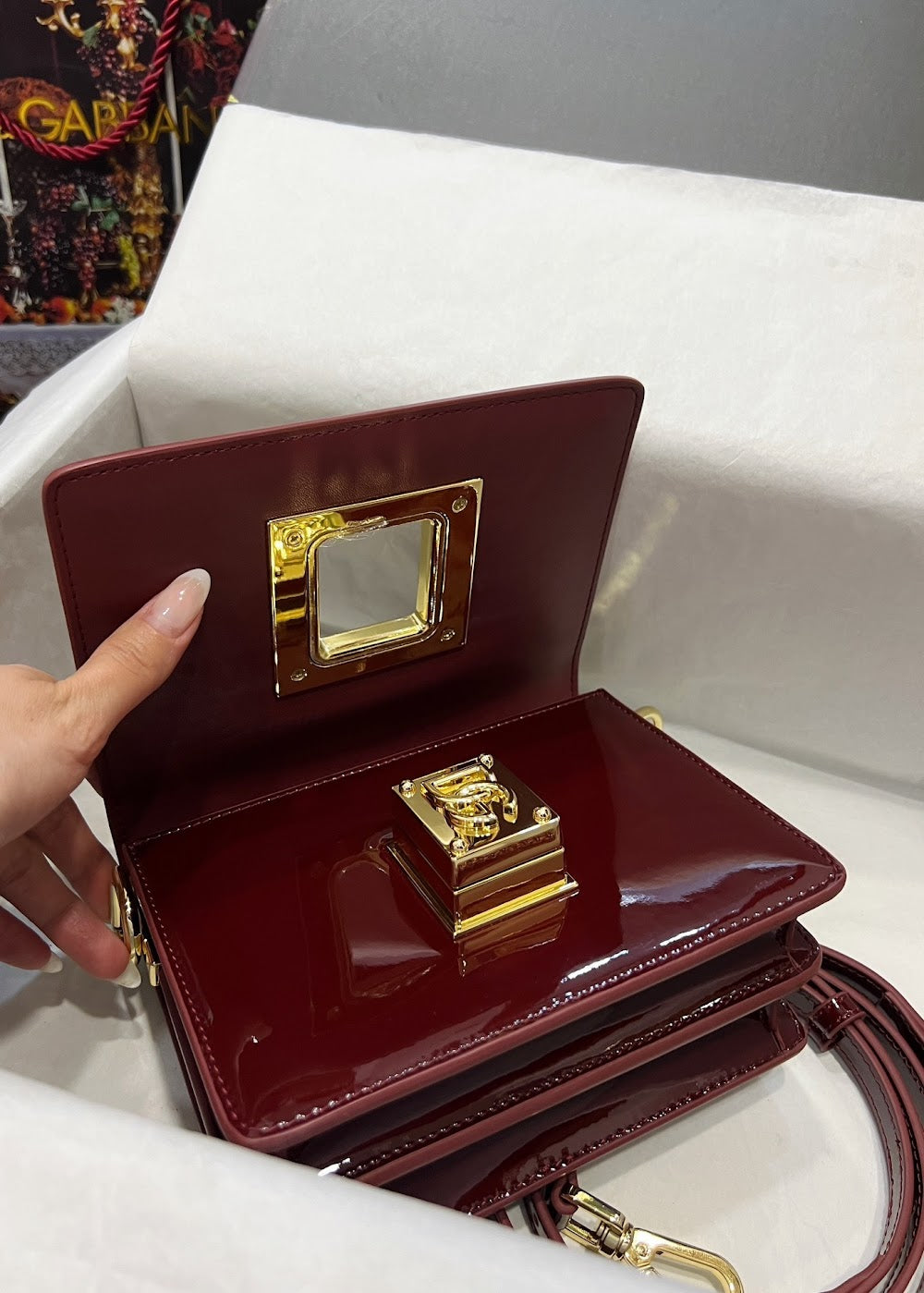 Dragons Bags DGn Luxury Bag --93321