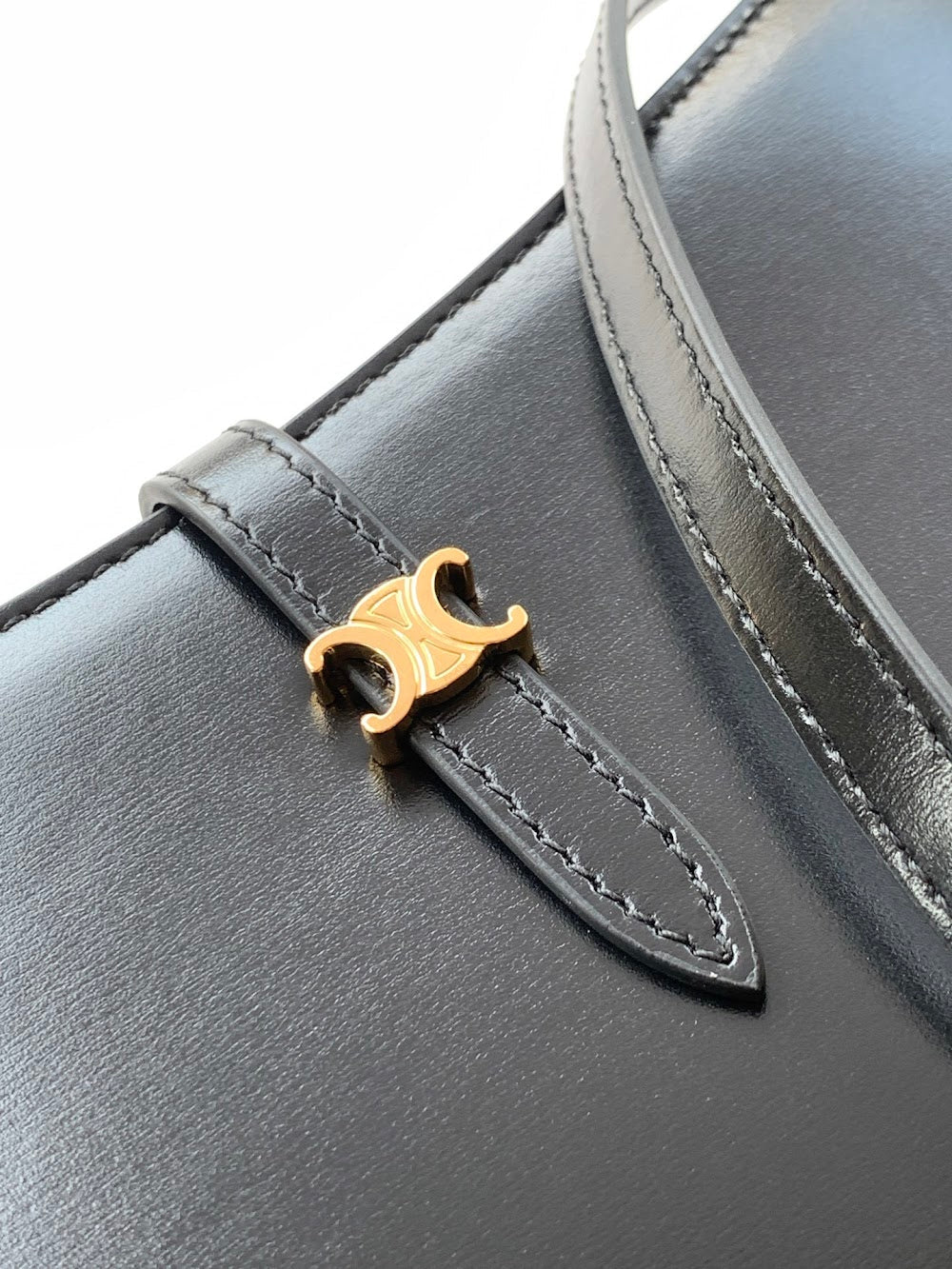 Dragons Bags Celine Luxury Bag --112116