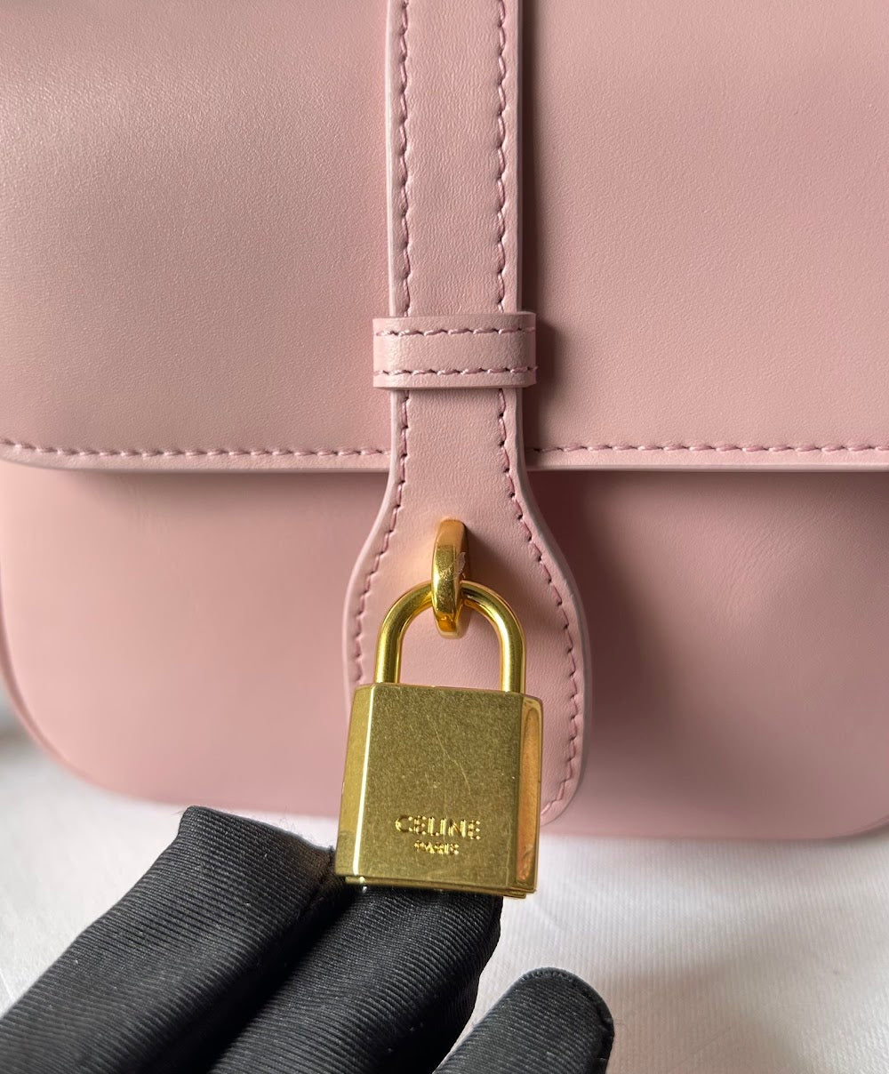 Dragons Bags Celine Luxury Bag --112517