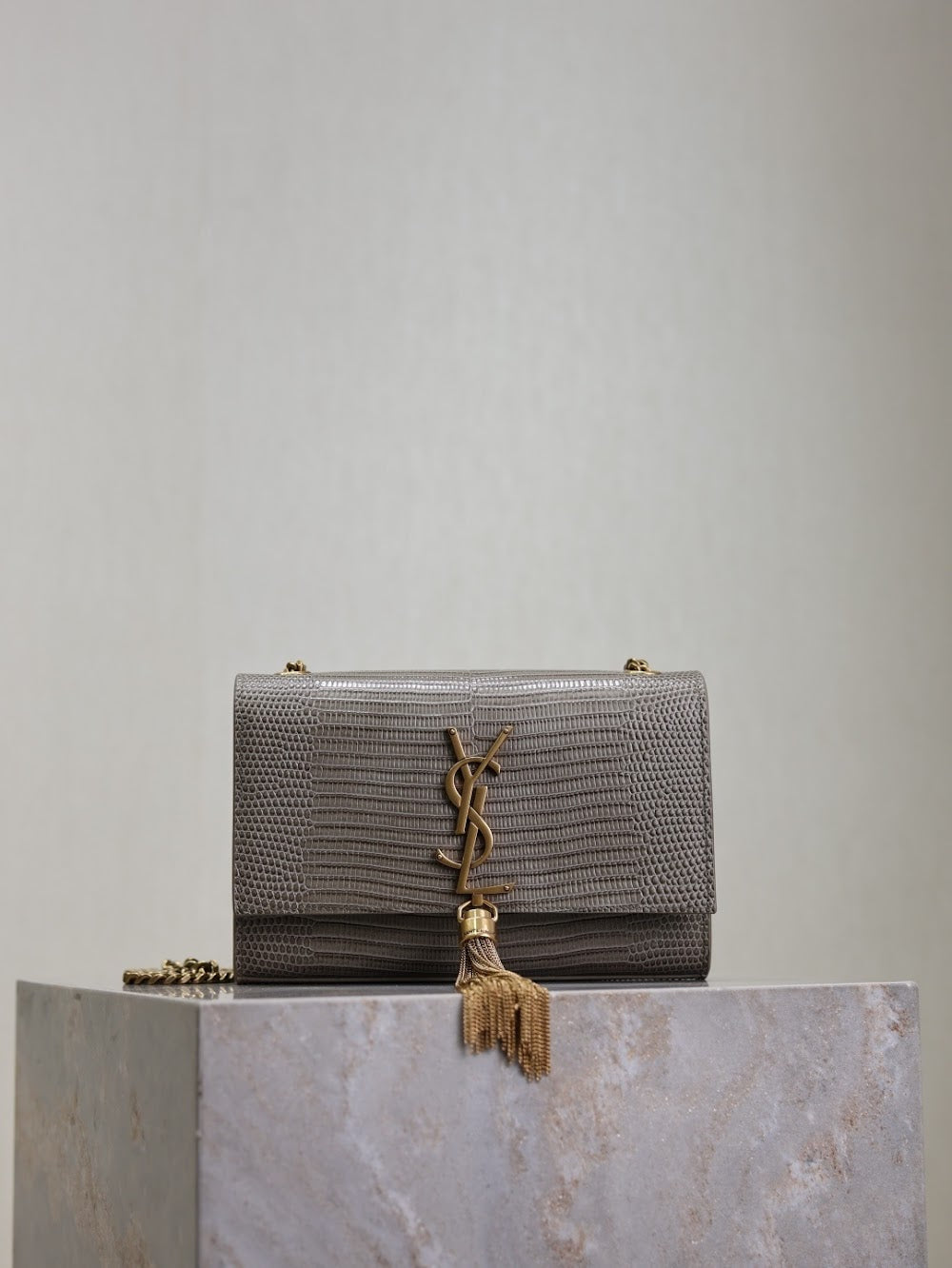 Dragons Bags YSLn Luxury Bag --119164