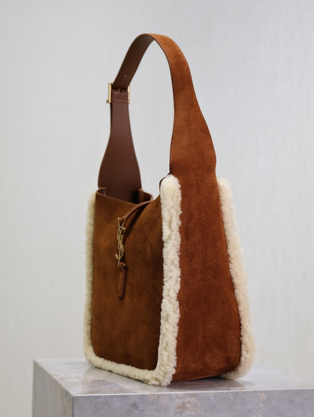 Dragons Bags YSLn Luxury Bag --119206
