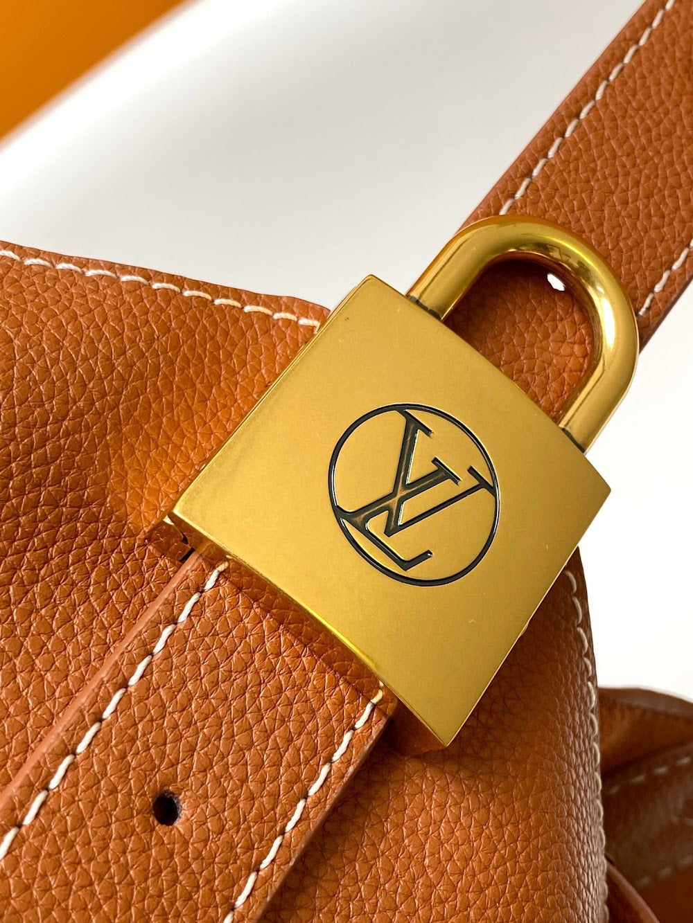 Dragons Bags LVn Luxury Bag --80095