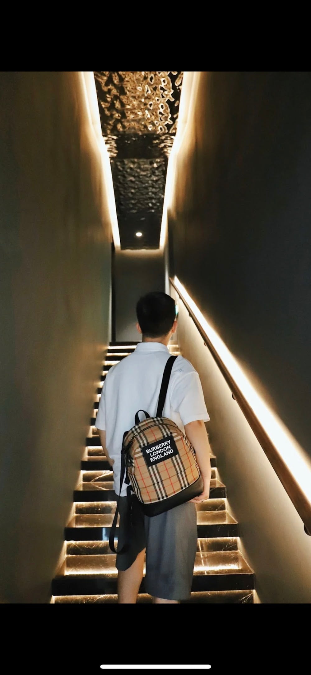 Dragons Bags Burberryn Luxury Bag --93051