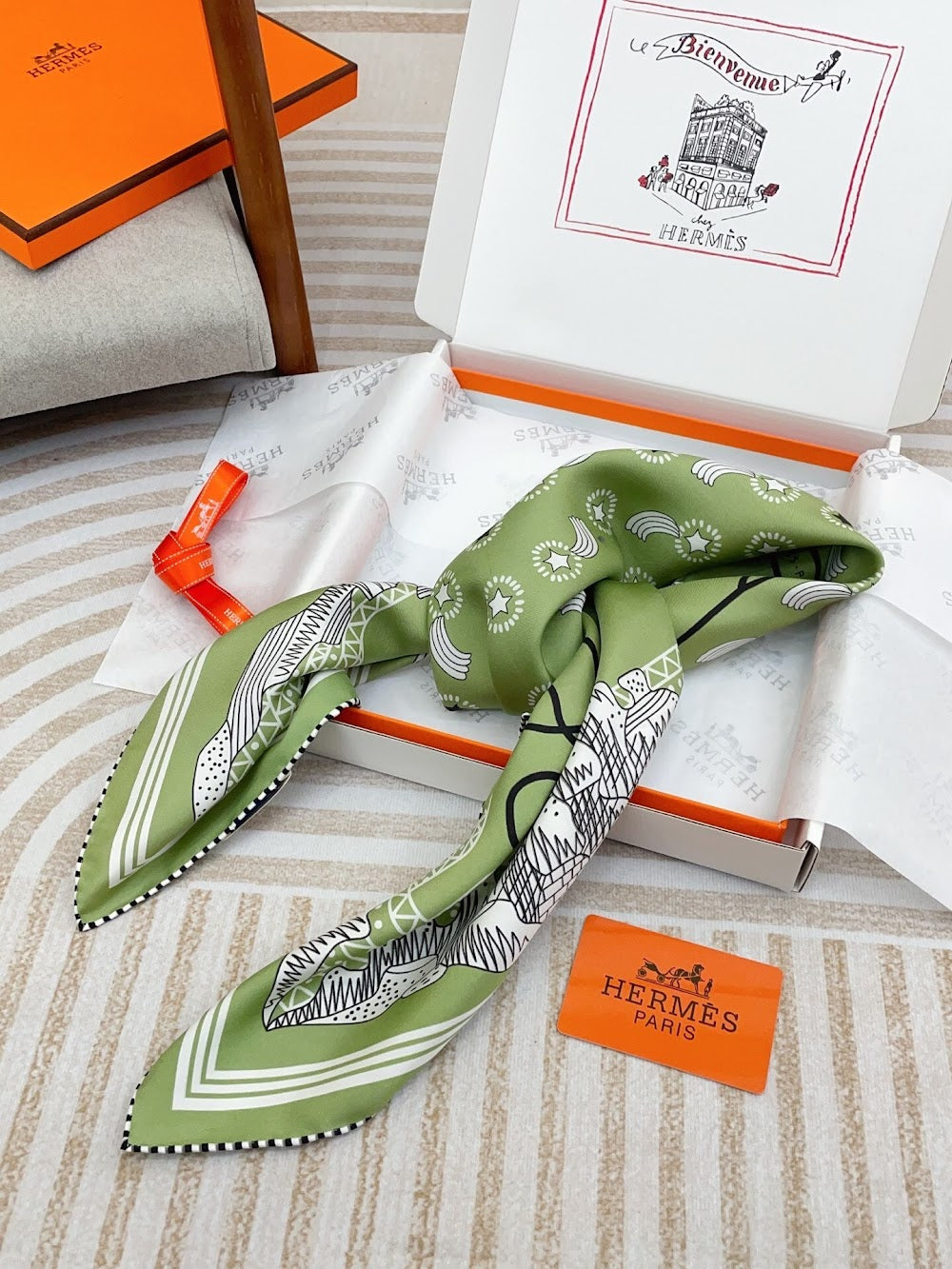 Dragons Bags Premium Designer Scarf --98825