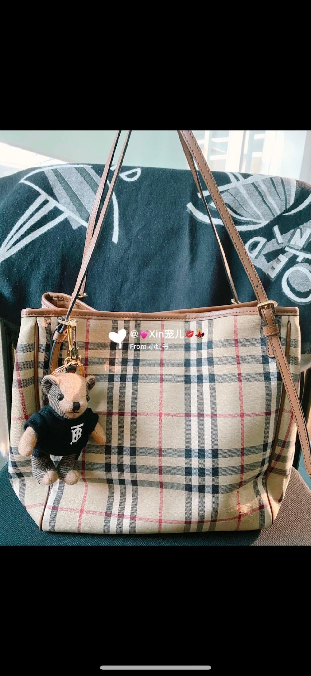 Dragons Bags Burberryn Luxury Bag --92299