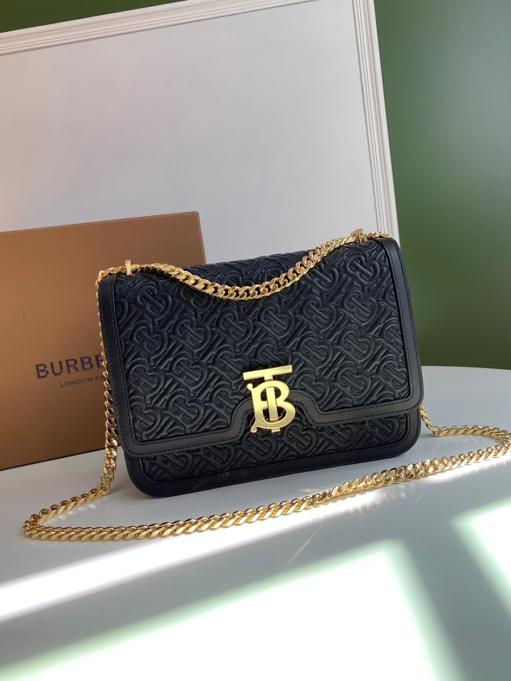 Dragons Bags Burberryn Luxury Bag --91668