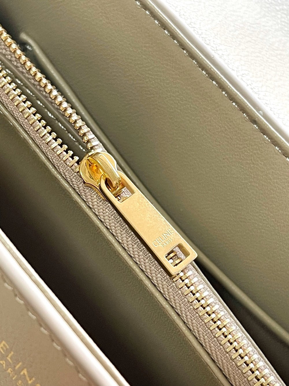 Dragons Bags Celine Luxury Bag --112331