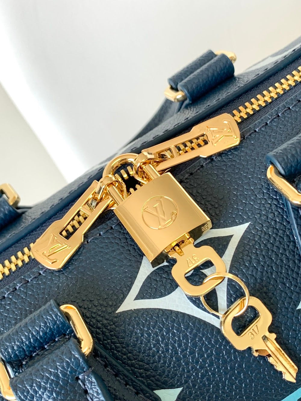 Dragons Bags LVn Luxury Bag --81099