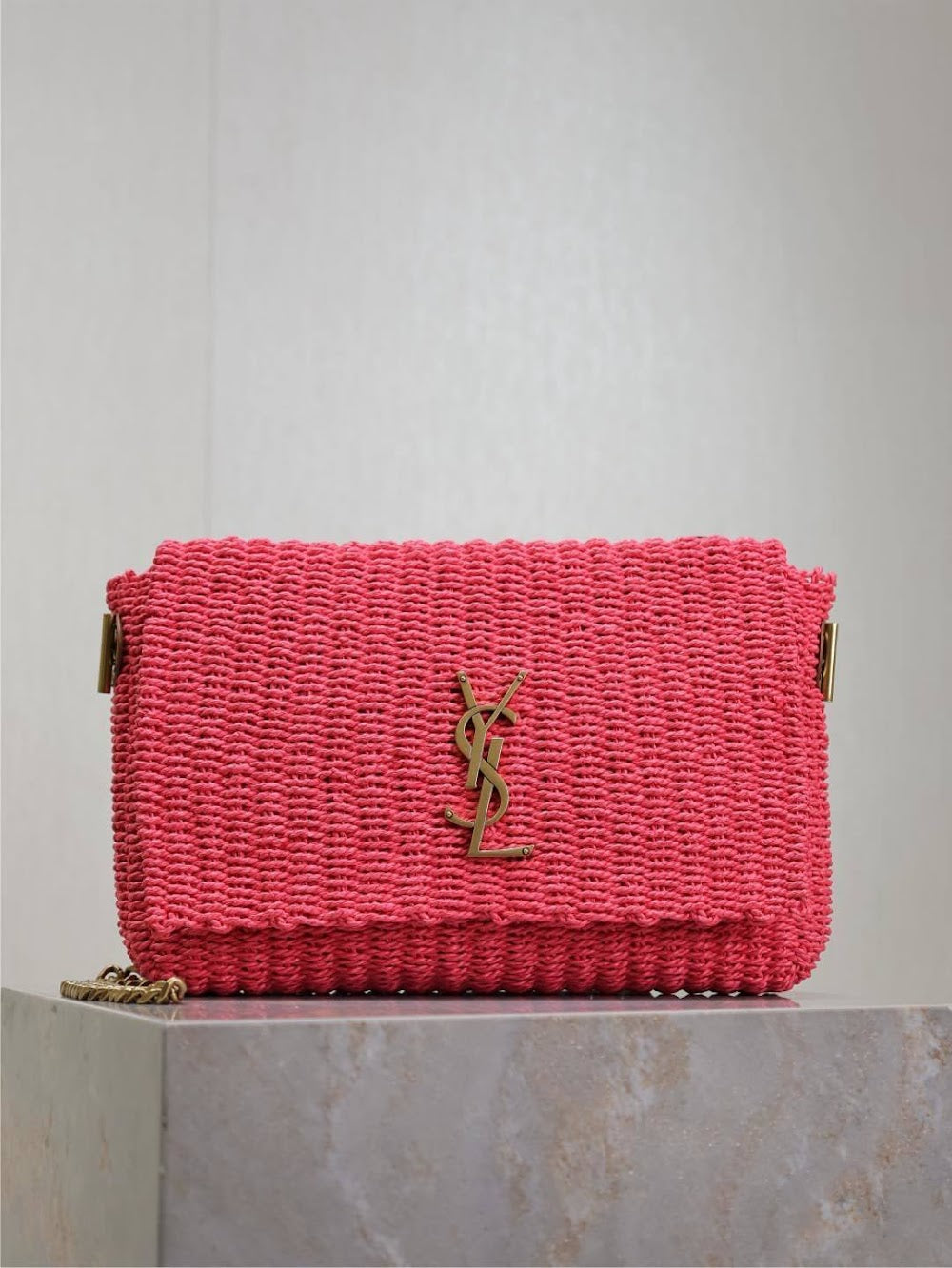 Dragons Bags YSLn Luxury Bag --120231