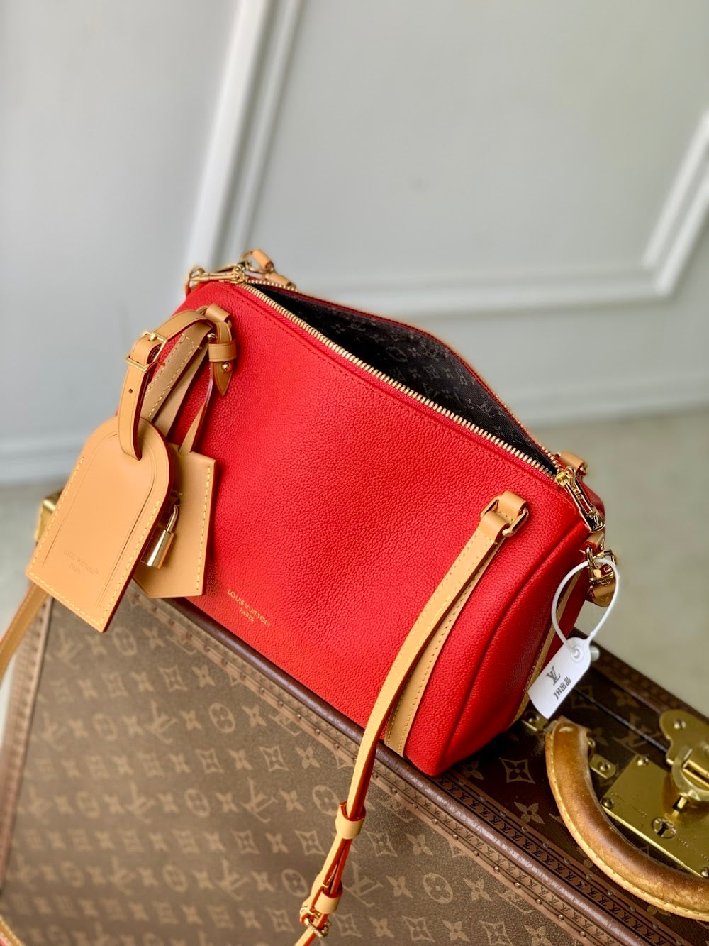 Dragons Bags ln Luxury Bag --96700