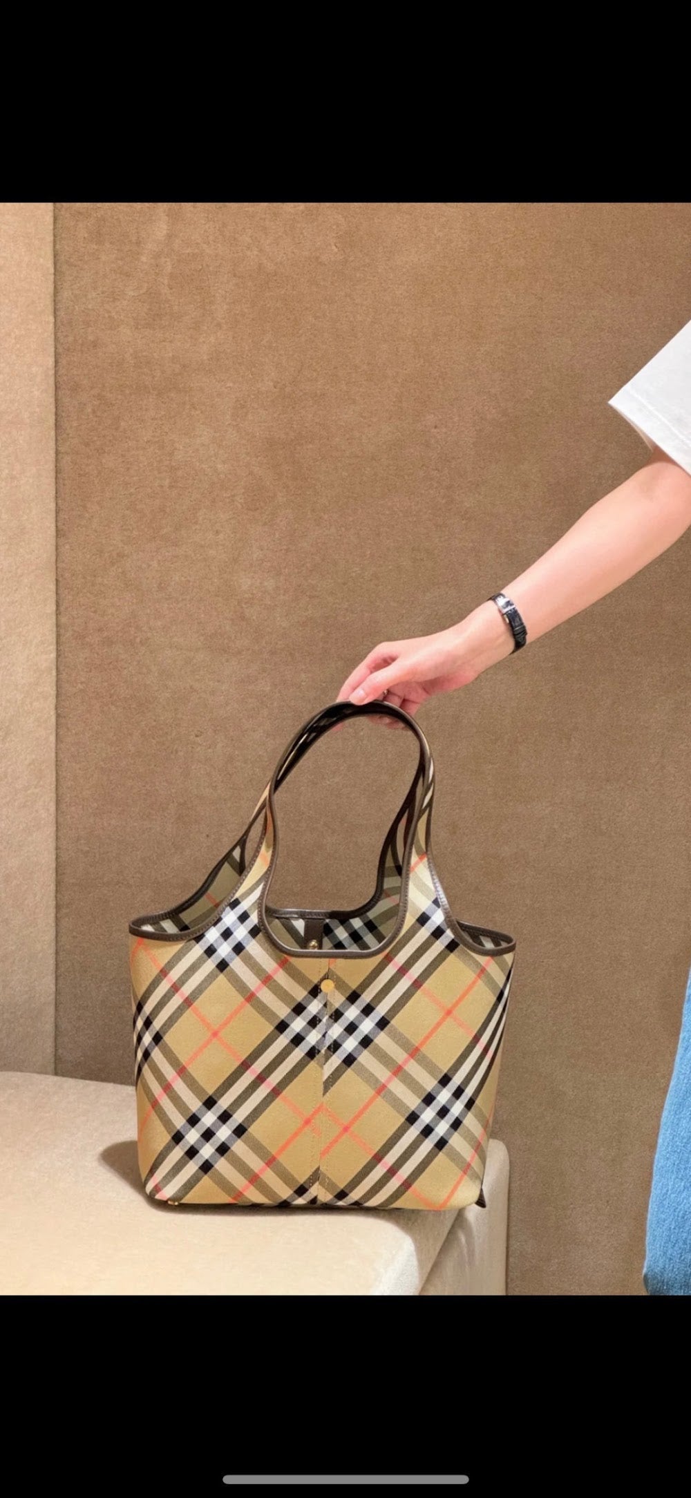 Dragons Bags Burberryn Luxury Bag --91774