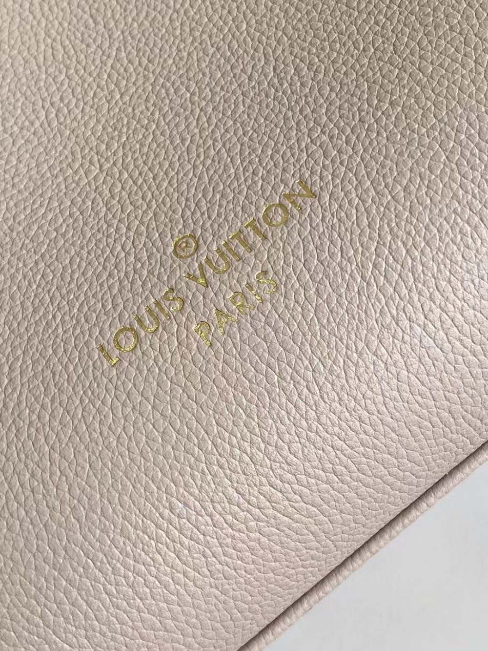 Dragons Bags ln Luxury Bag --60496