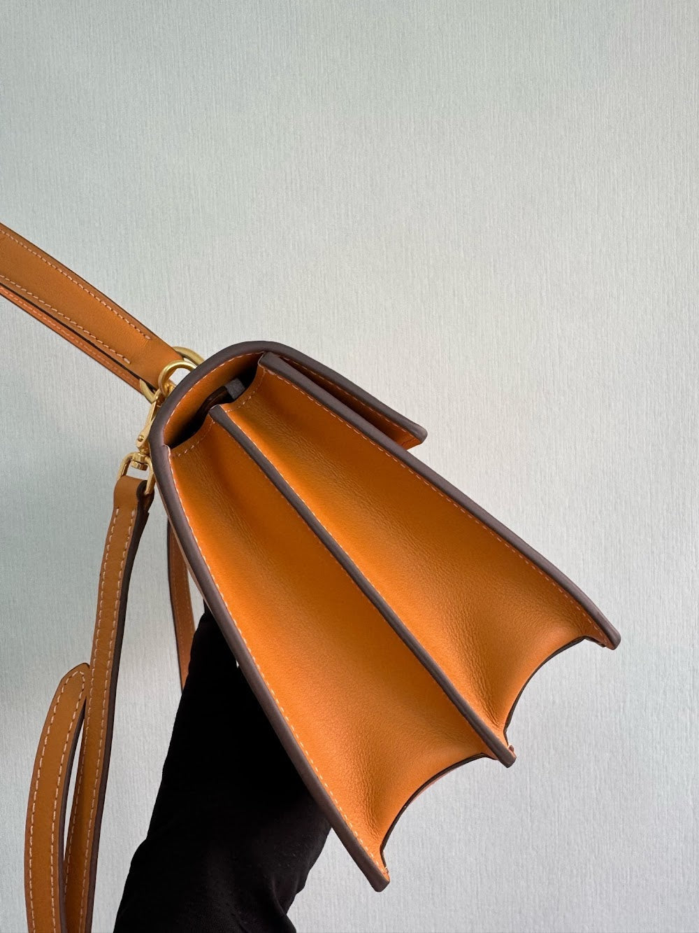 Dragons Bags Pradn Luxury Bag --102541