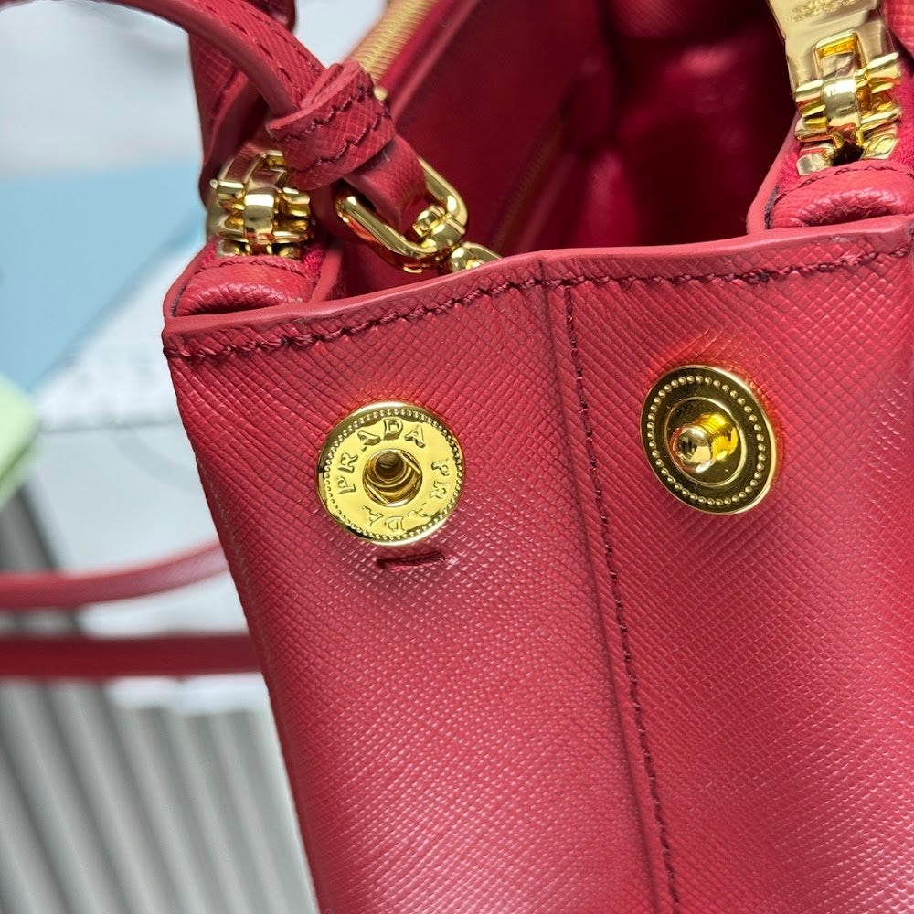 Dragons Bags Pradn Luxury Bag --102807