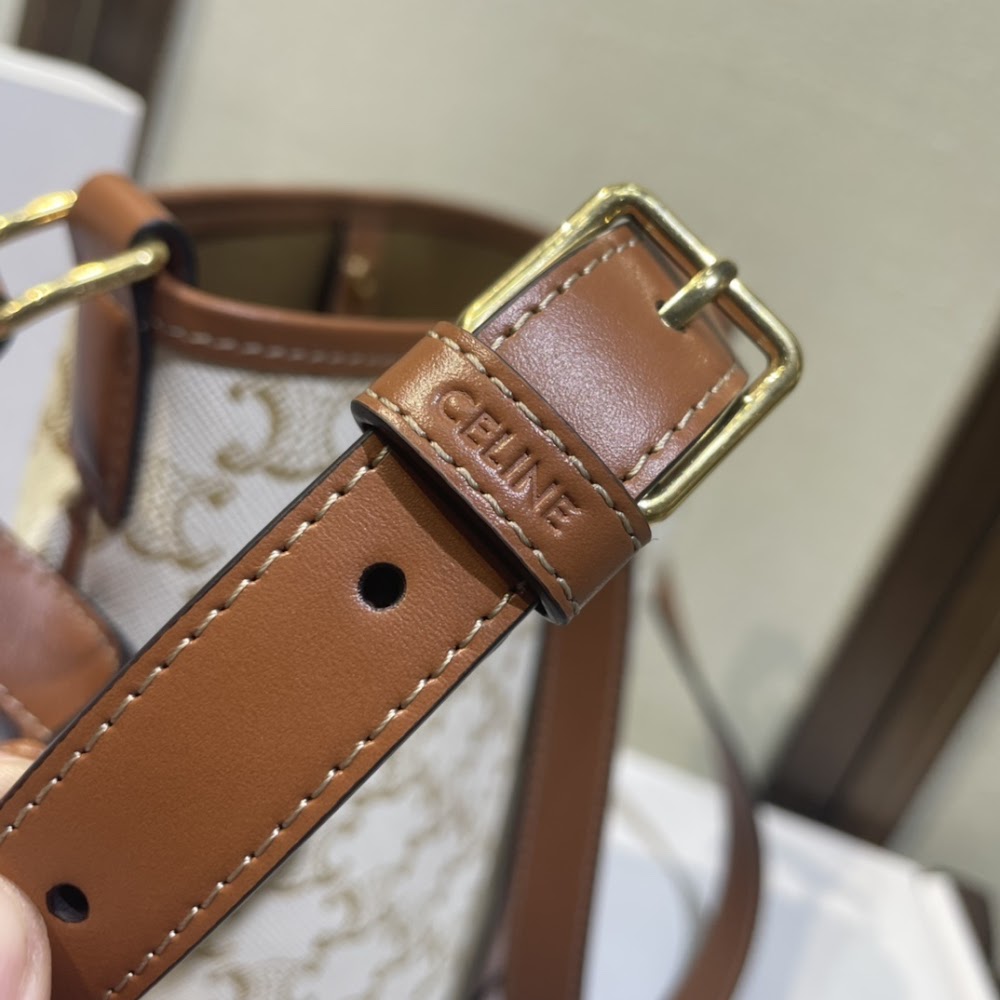 Dragons Bags Celine Luxury Bag --112501