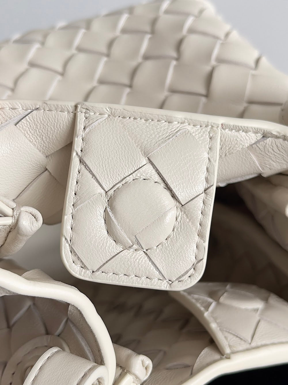 Dragons Bags Bottegan Luxury Bag --91098