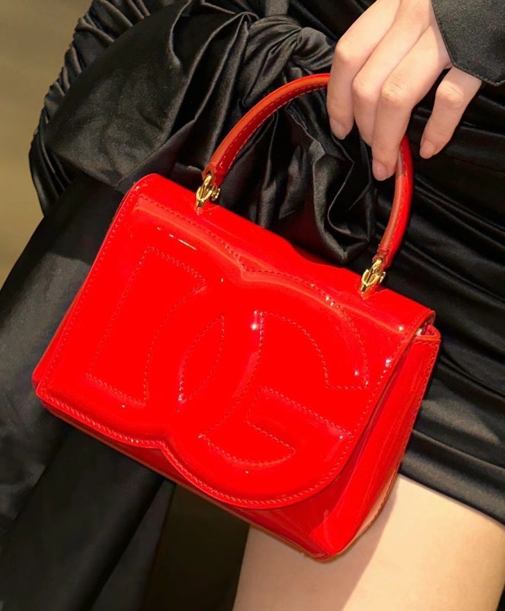 Dragons Bags DGn Luxury Bag --93728