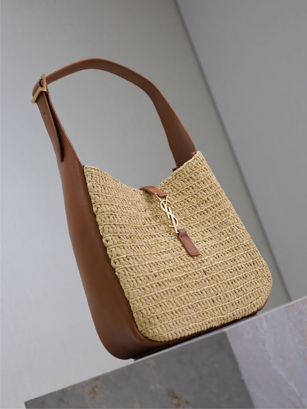 Dragons Bags YSLn Luxury Bag --119221