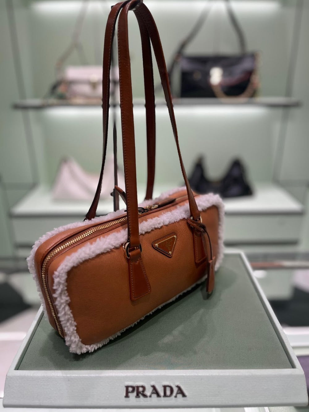 Dragons Bags Pradn Luxury Bag --102874