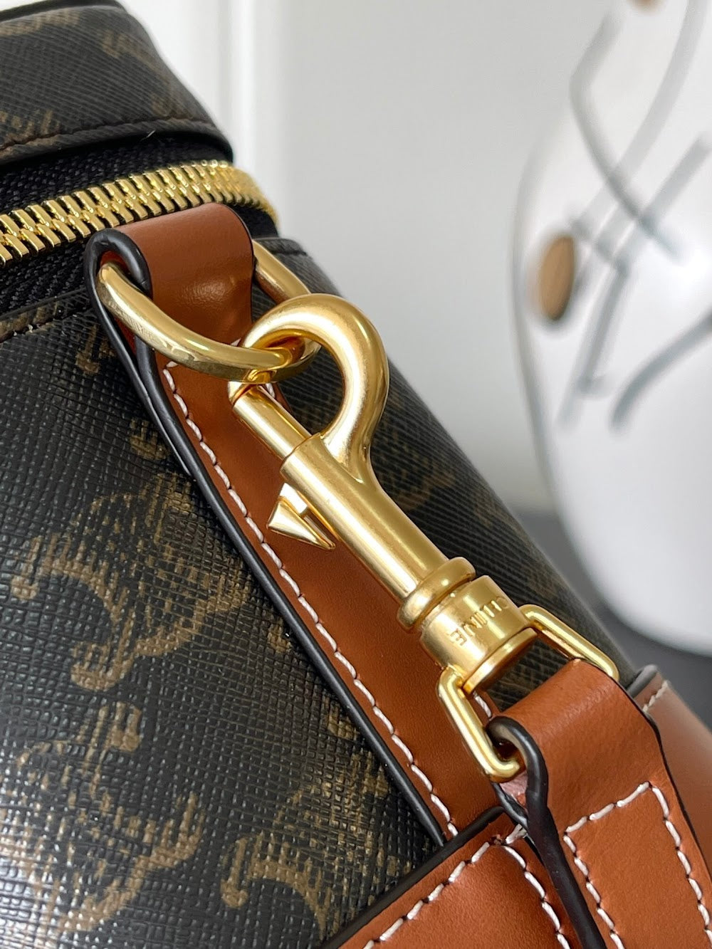 Dragons Bags Celine Luxury Bag --112315