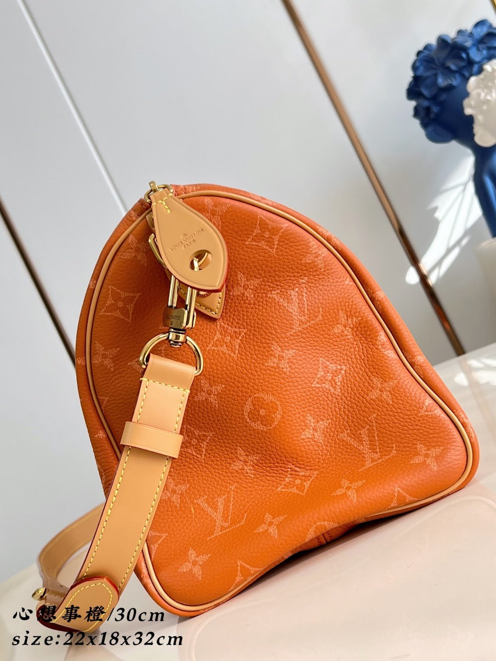 Dragons Bags ln Luxury Bag --96532