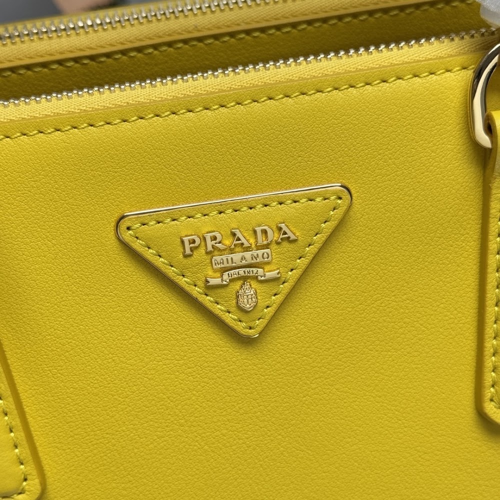 Dragons Bags Pradn Luxury Bag --102717