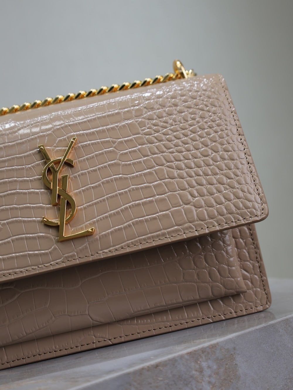 Dragons Bags YSLn Luxury Bag --119534
