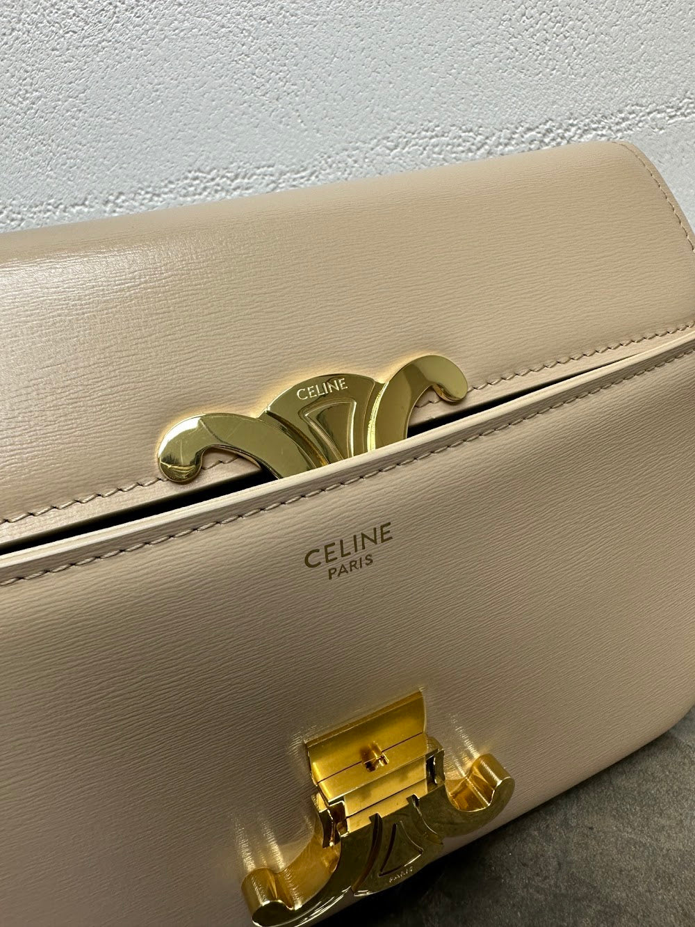 Dragons Bags Celine Luxury Bag --112421