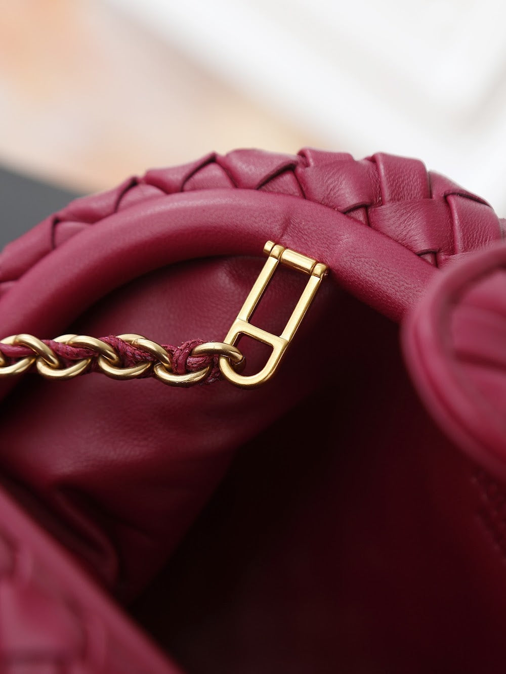 Dragons Bags Bottegan Luxury Bag --91352